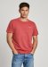 panske-tricko-pepe-jeans-davy-tee-5-21630.jpg