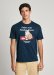 panske-tricko-pepe-jeans-axel-tee-21612.jpg