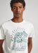 panske-triko-pepe-jeans-dorian-tee-5-17255.jpeg